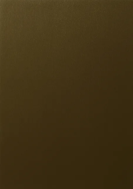 Fenster PVC – BRONZE