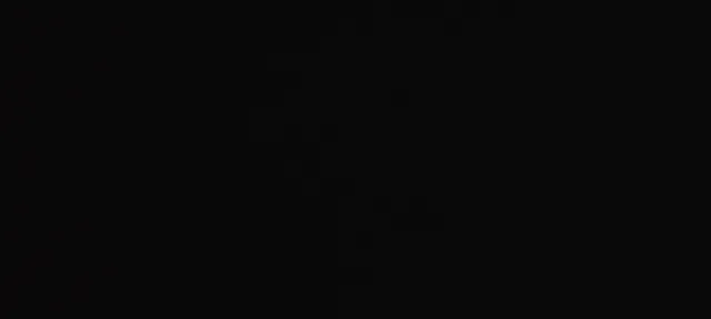 Fenster PVC – Schwarz matt Art. .... 4466062