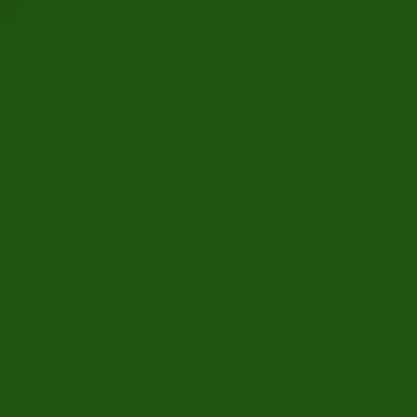 Fenster PVC – RAL6005