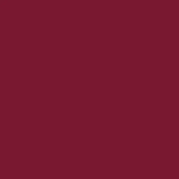 Fenster PVC – RAL3005
