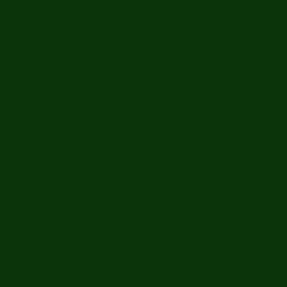 Fenster PVC – RAL6009
