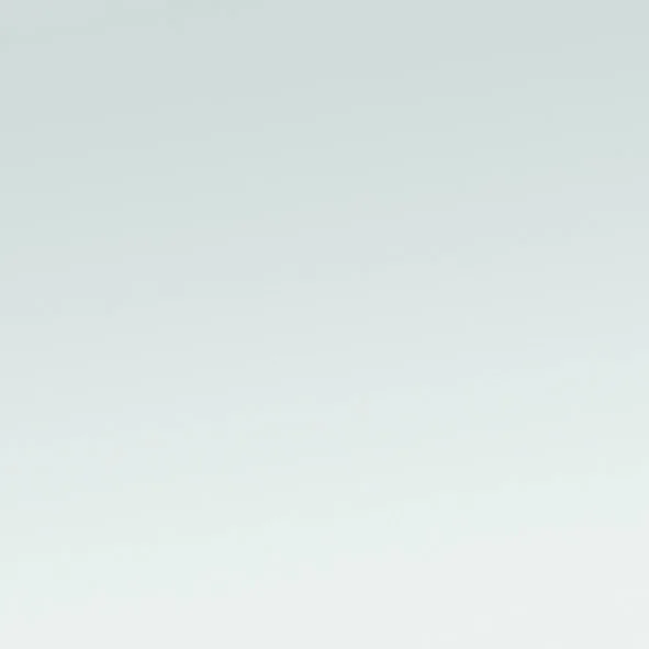 Fenster PVC – RAL9006