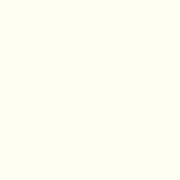 Fenster PVC – RAL9010