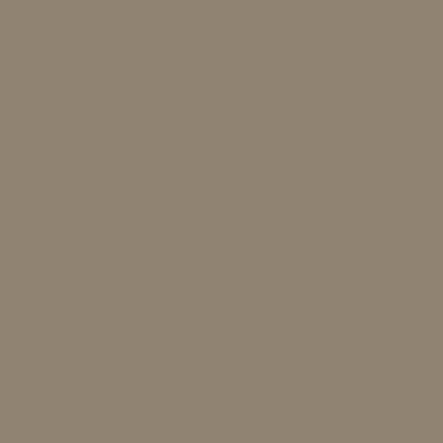 Fenster PVC – RAL 1019